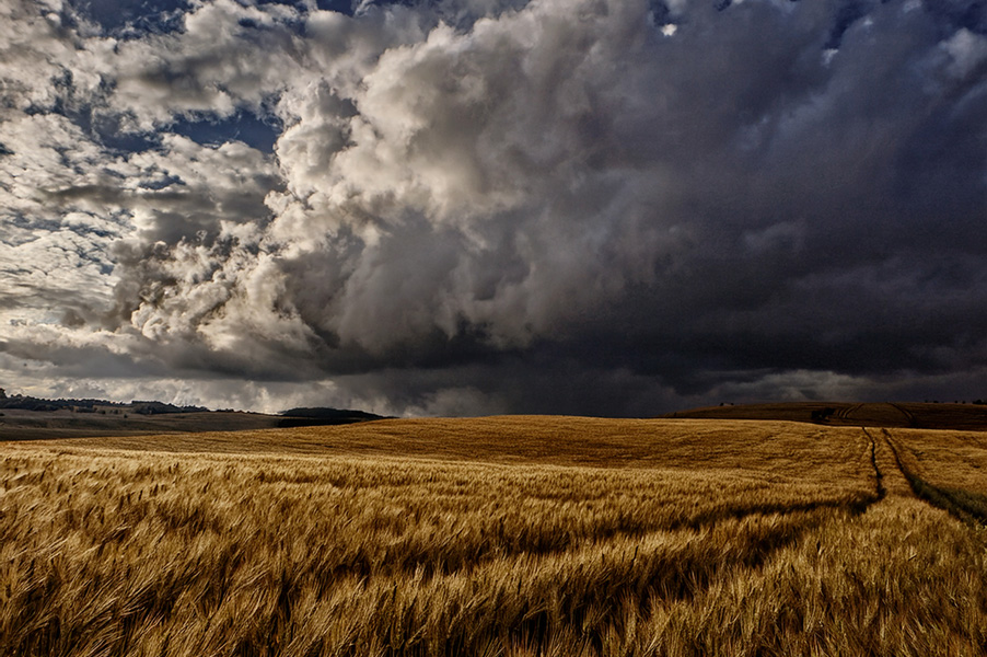 Фотографія ВСЕ БУДЕ УКРАЇНА. / Андрій / photographers.ua