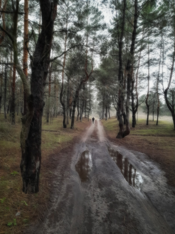 Фотографія Після дощу. / Андрій / photographers.ua