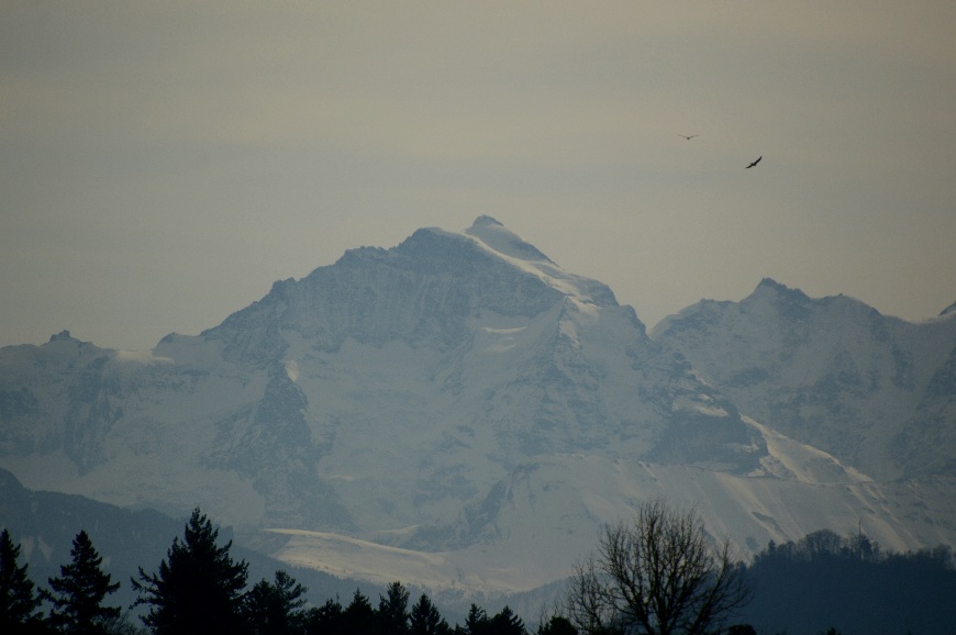 Фотографія Лютнева. / Андрій / photographers.ua