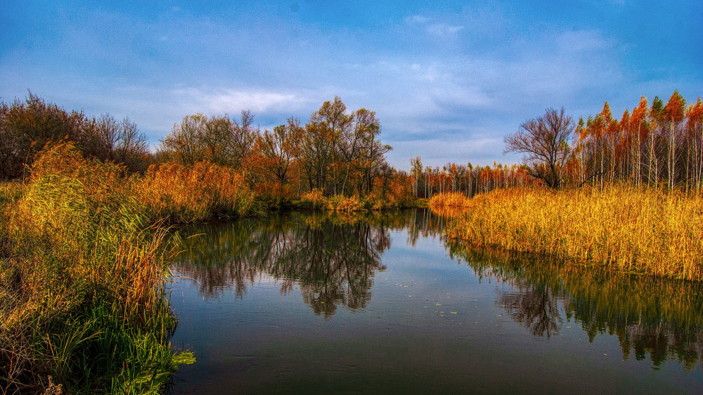 Фотографія Пейзаж / Литвин Игорь / photographers.ua