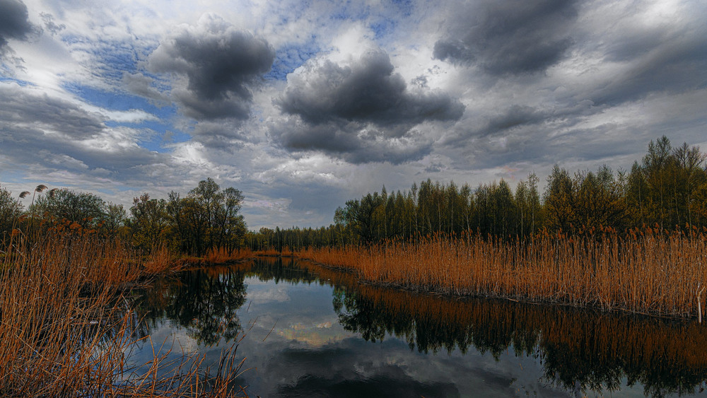 Фотографія Пейзаж / Литвин Игорь / photographers.ua