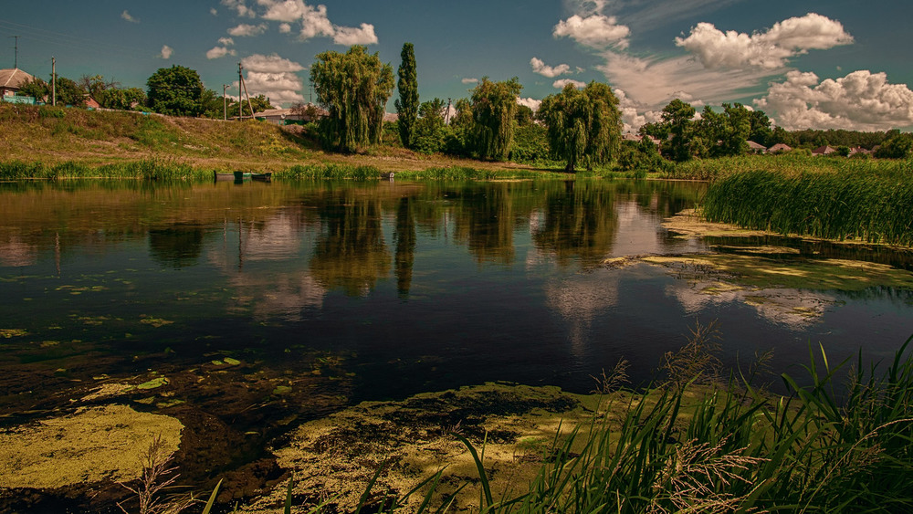 Фотографія Пейзаж / Литвин Игорь / photographers.ua
