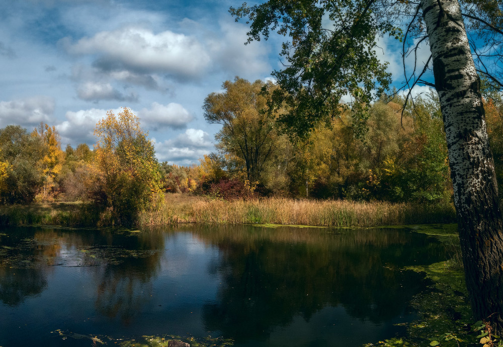 Фотографія Пейзаж / Литвин Игорь / photographers.ua