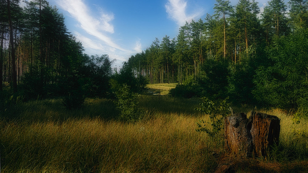 Фотографія Пейзаж / Литвин Игорь / photographers.ua