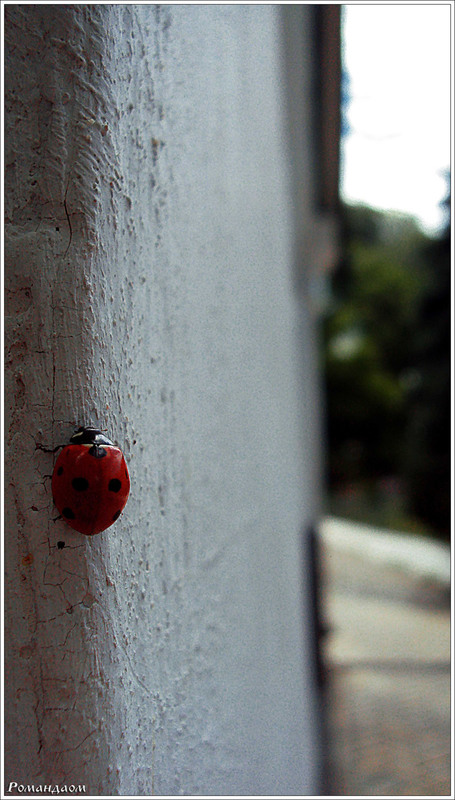 Фотографія Frolovsky monastery / Roman Daom / photographers.ua