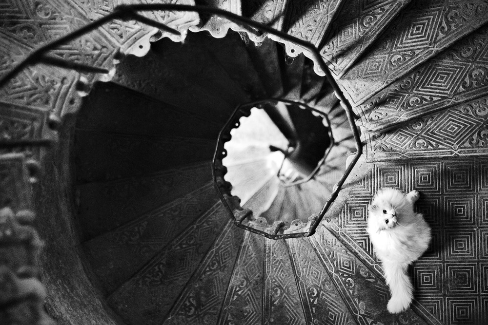 Фотографія Одесская вечность / Нателла Нагайчук / photographers.ua