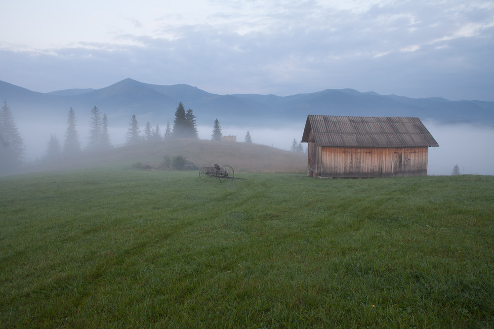Фотографія туманний ранок / Игорь Тищенко / photographers.ua
