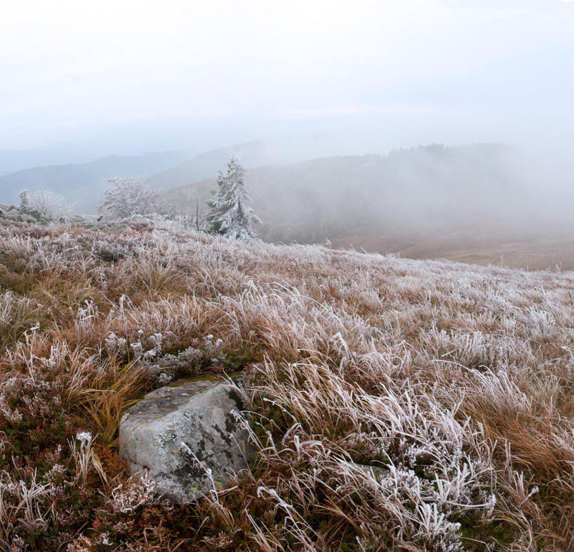 Фотографія морозний ранок / Игорь Тищенко / photographers.ua
