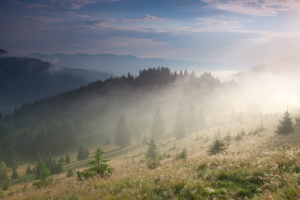 Фотографія туманний ранок / Игорь Тищенко / photographers.ua