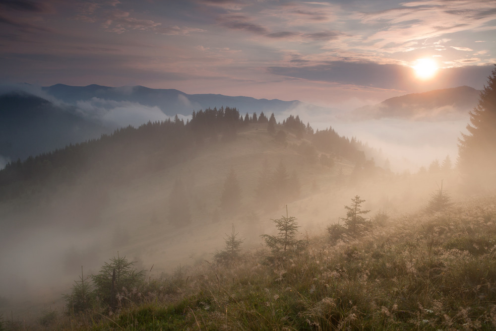 Фотографія зустріч нового дня... / Игорь Тищенко / photographers.ua