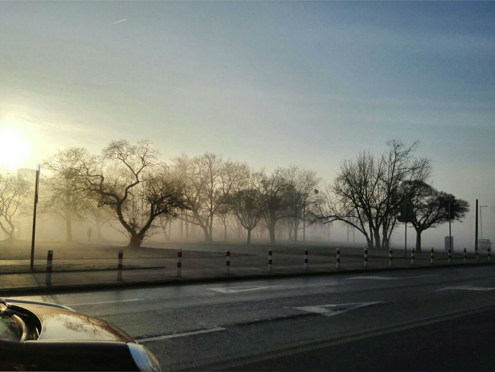 Фотографія Утренний туман / Maria Koshur / photographers.ua