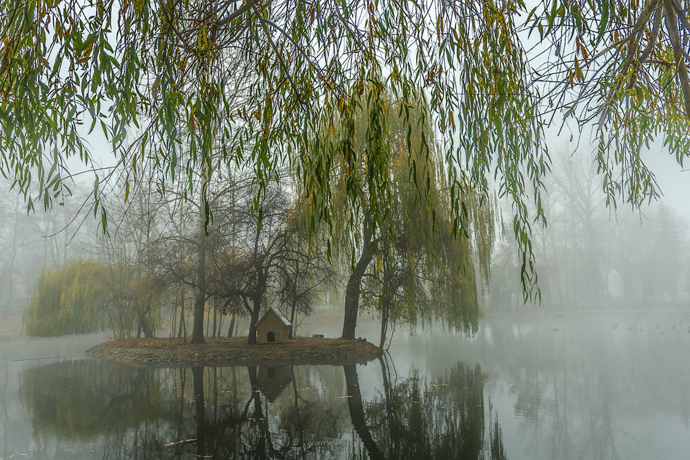 Фотографія Туман / Євген Хитрук / photographers.ua