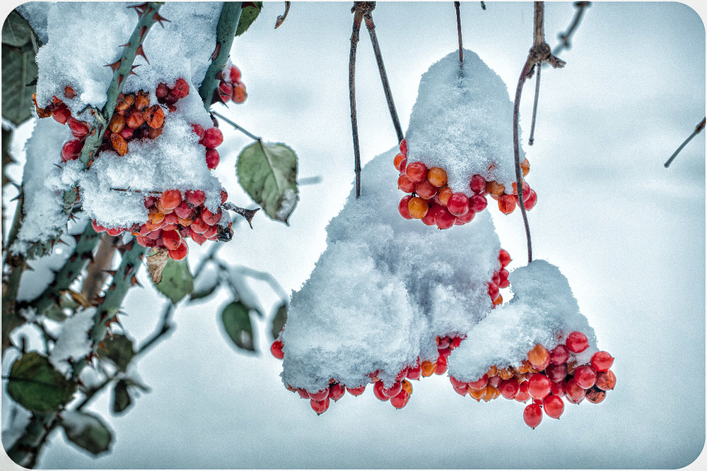 Фотографія Ой зима, ой красна:) / Оксана Хорхолюк / photographers.ua