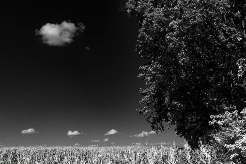 Фотографія Самотні хмари / Aleksandr Makiіchuk / photographers.ua