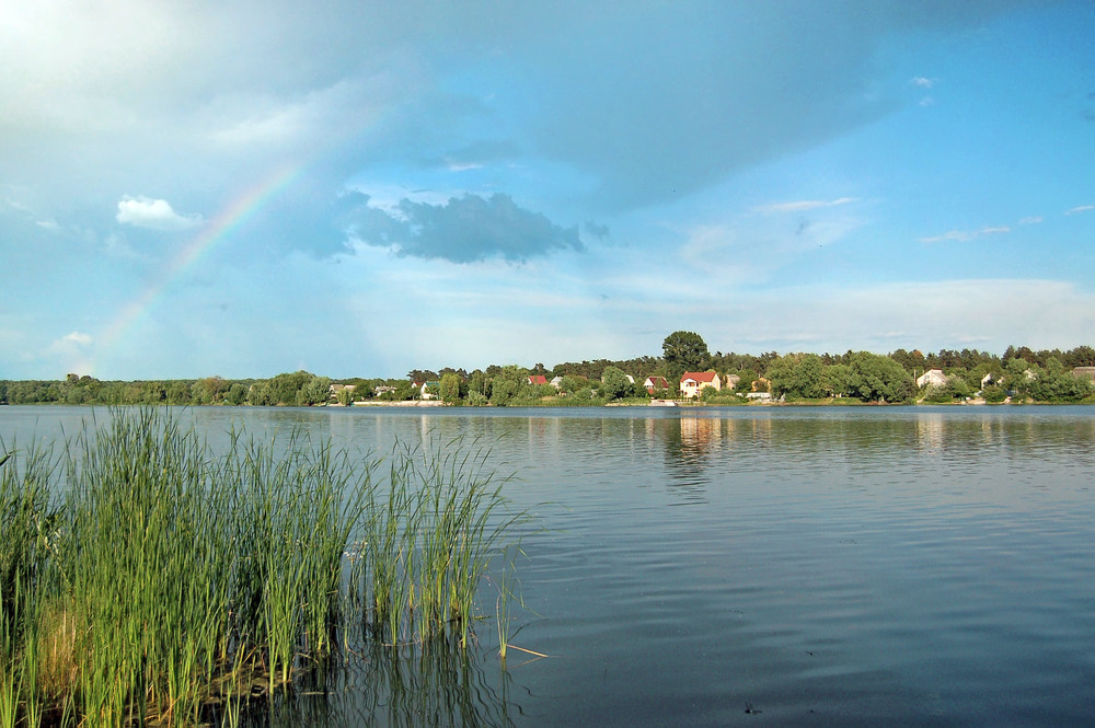 Фотографія Озеро на Лесковице (Чернигов) / Kunnova Elena / photographers.ua