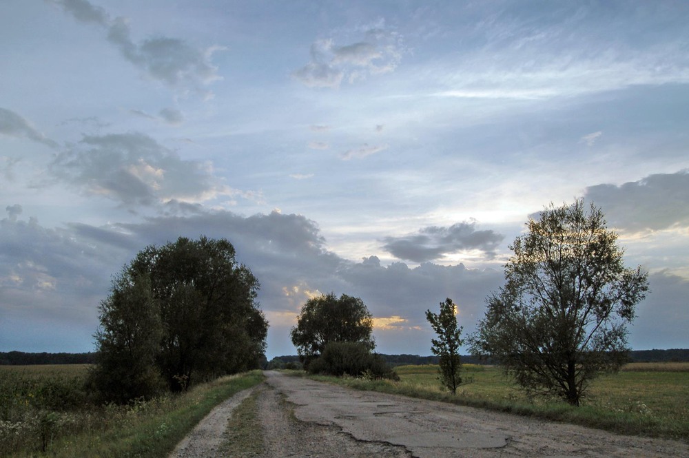 Фотографія Дорога на закат, на осень, на туманы... / Kunnova Elena / photographers.ua