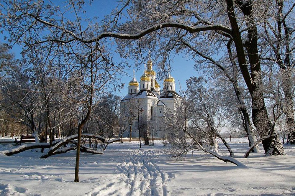 Фотографія Зима белесой пеленой застлала все... / Kunnova Elena / photographers.ua