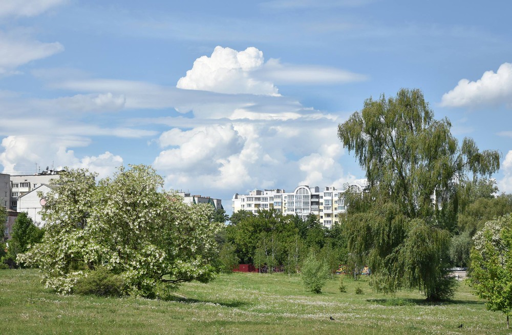 Фотографія Гонит ветер облака лёгкие, курчавые... / Kunnova Elena / photographers.ua