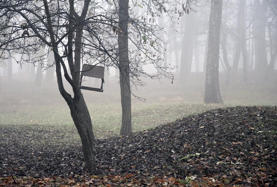 Фотографія Осень в белые туманы  сад хоронит по утрам... / Kunnova Elena / photographers.ua