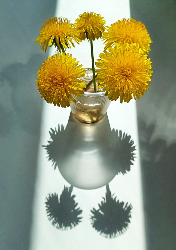 Фотографія Кульбабковий натюрморт / Kunnova Elena / photographers.ua