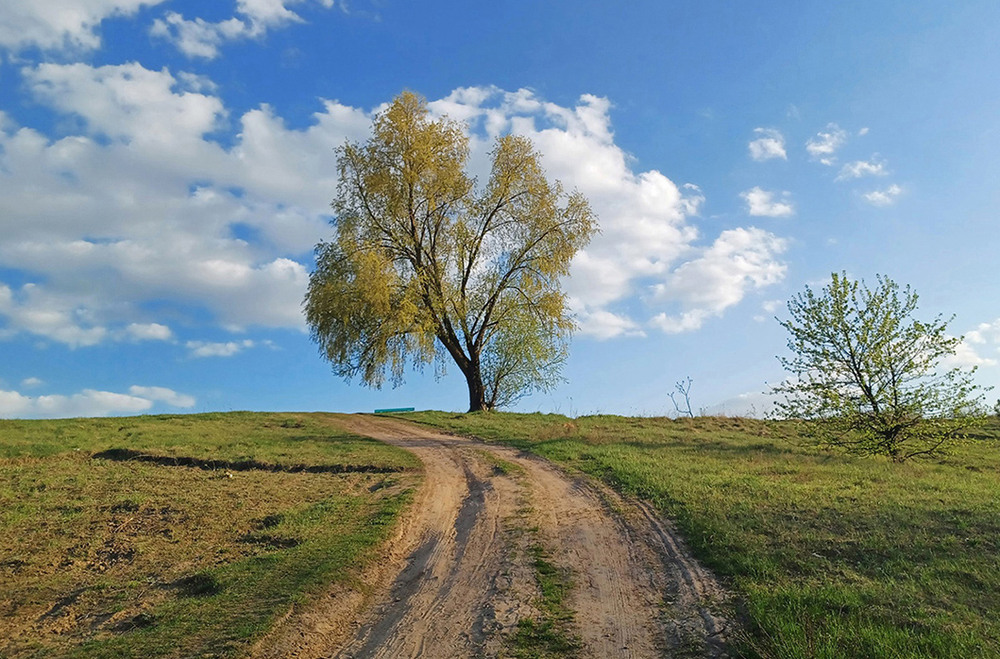 Фотографія Шлях / Kunnova Elena / photographers.ua