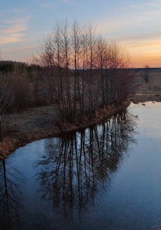 Фотографія Деревья смотрят в зеркала озер и рек... / Kunnova Elena / photographers.ua
