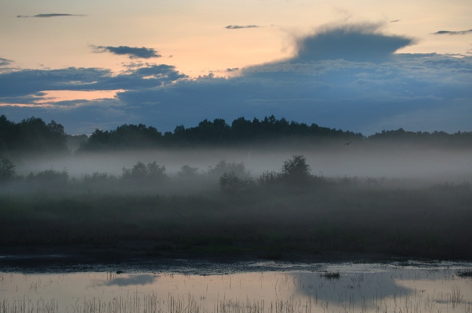 Фотографія Evening fog / Kunnova Elena / photographers.ua