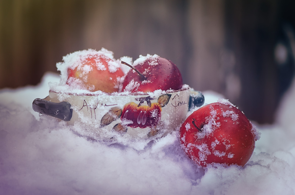 Фотографія Apples in the snow / Larissa / photographers.ua