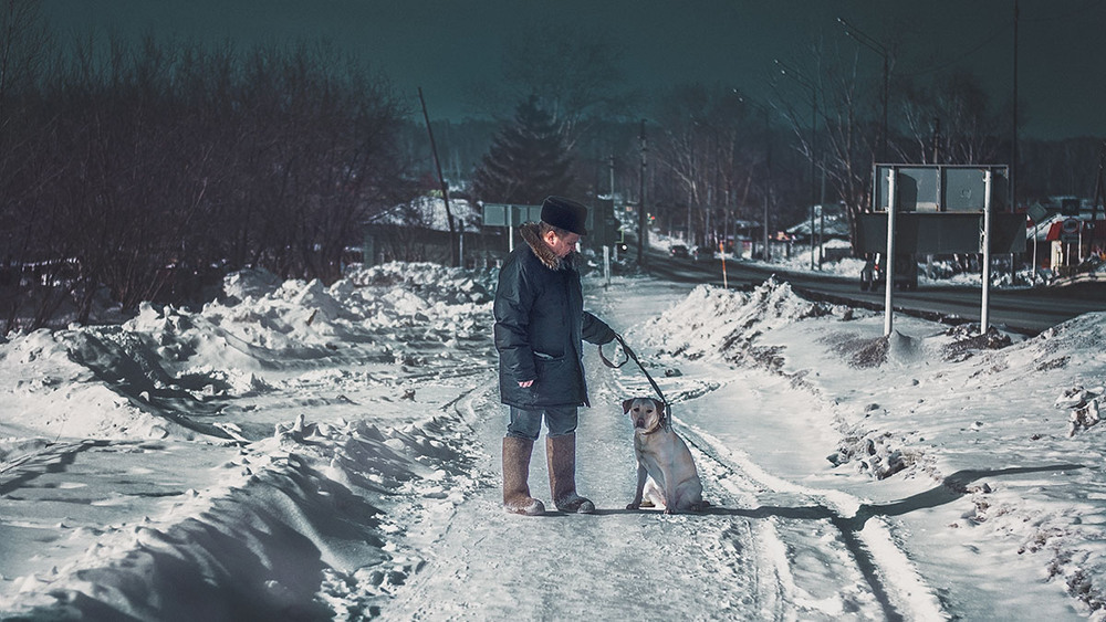 Фотографія Прогулка в зимний день / Larissa / photographers.ua