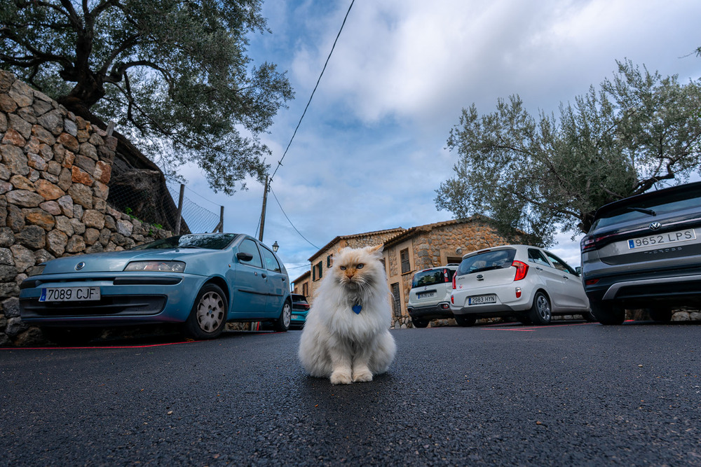 Фотографія Mister X / Anri Croizet / photographers.ua