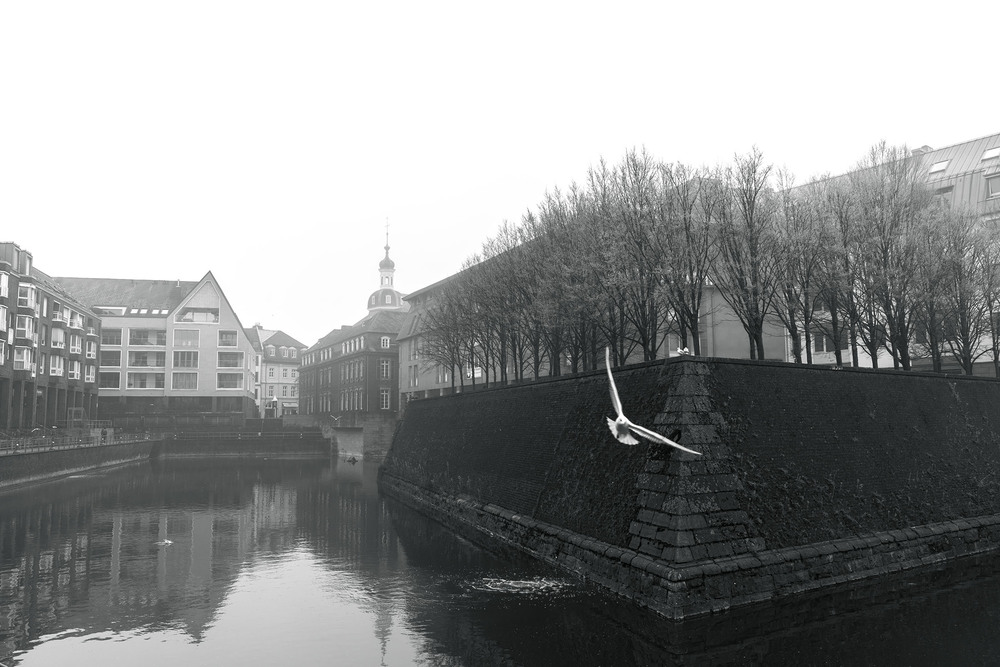 Фотографія Single flight. / Anri Croizet / photographers.ua