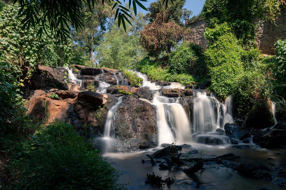 Фотографія Karura Forest, Nairobi, Kenia / Anri Croizet / photographers.ua