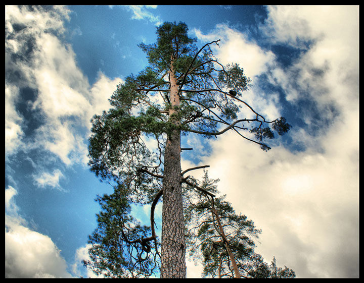 Фотографія К ОБЛАКАМ / Мирослав Сенькив / photographers.ua