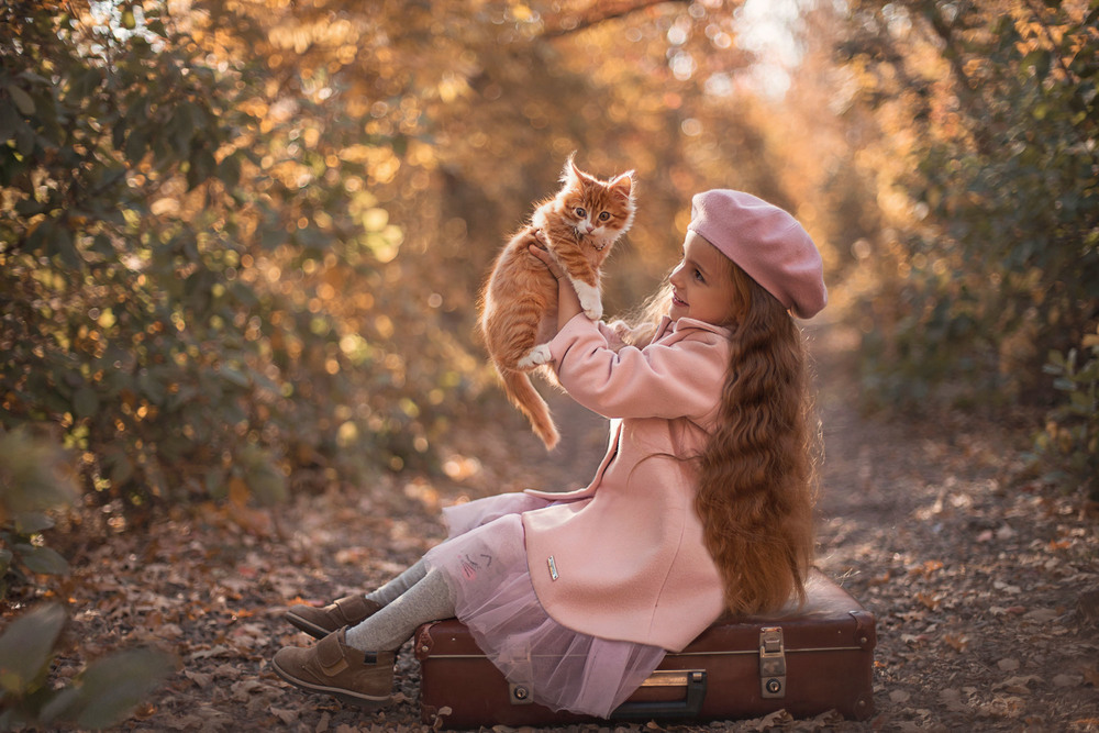 Фотографія О Соне, её котёнке Тиме и старом чемодане / Александра Пименова / photographers.ua