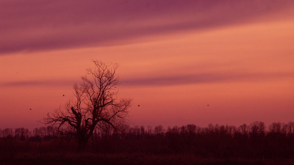 Фотографія Pilots Of Purple Twilight / Vortex / photographers.ua