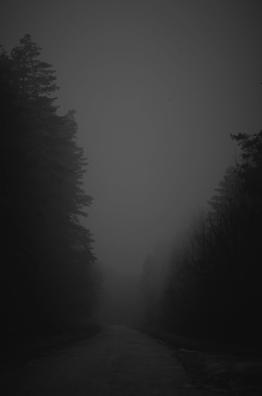 Фотографія "Thawing in a Fog" / Vortex / photographers.ua