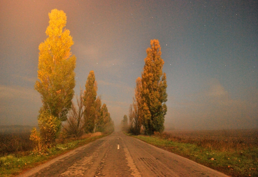 Фотографія Ночные дороги / Vortex / photographers.ua