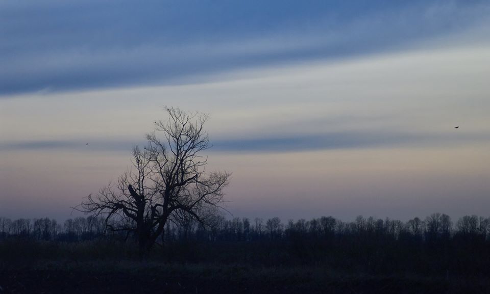 Фотографія Towards The Evening Star / Vortex / photographers.ua