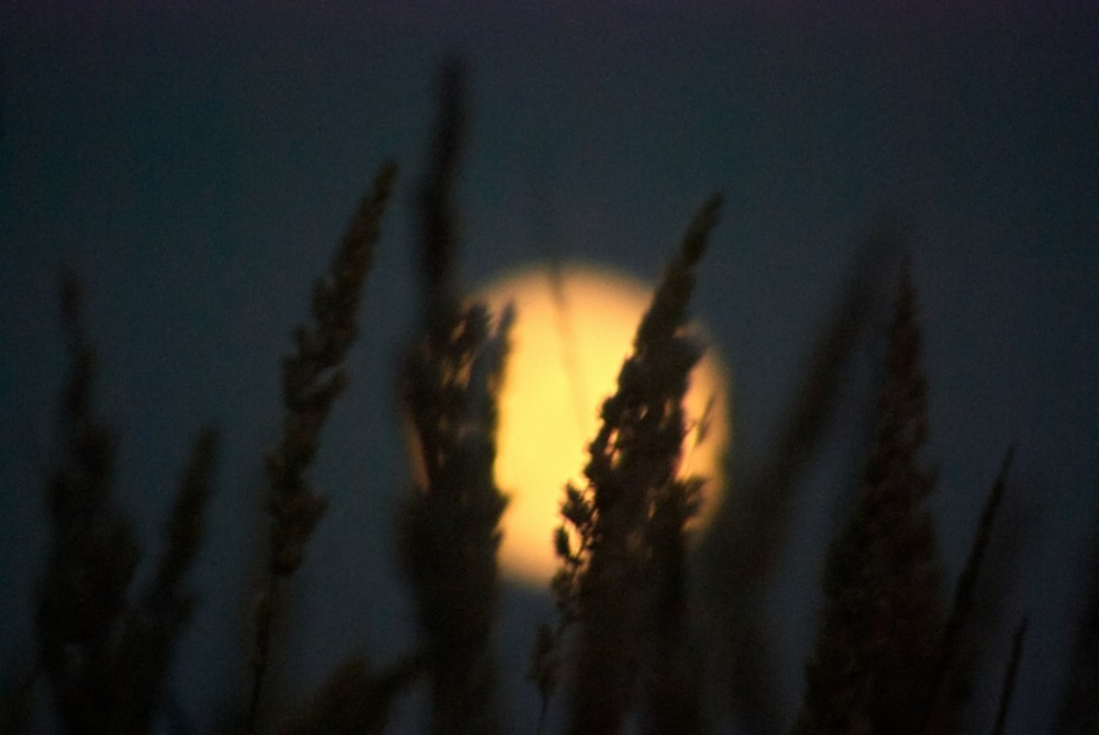 Фотографія Місяць в повні / Vortex / photographers.ua