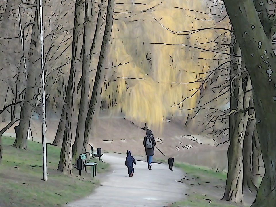 Фотографія ...прогулка в парке.. / Andriy / photographers.ua