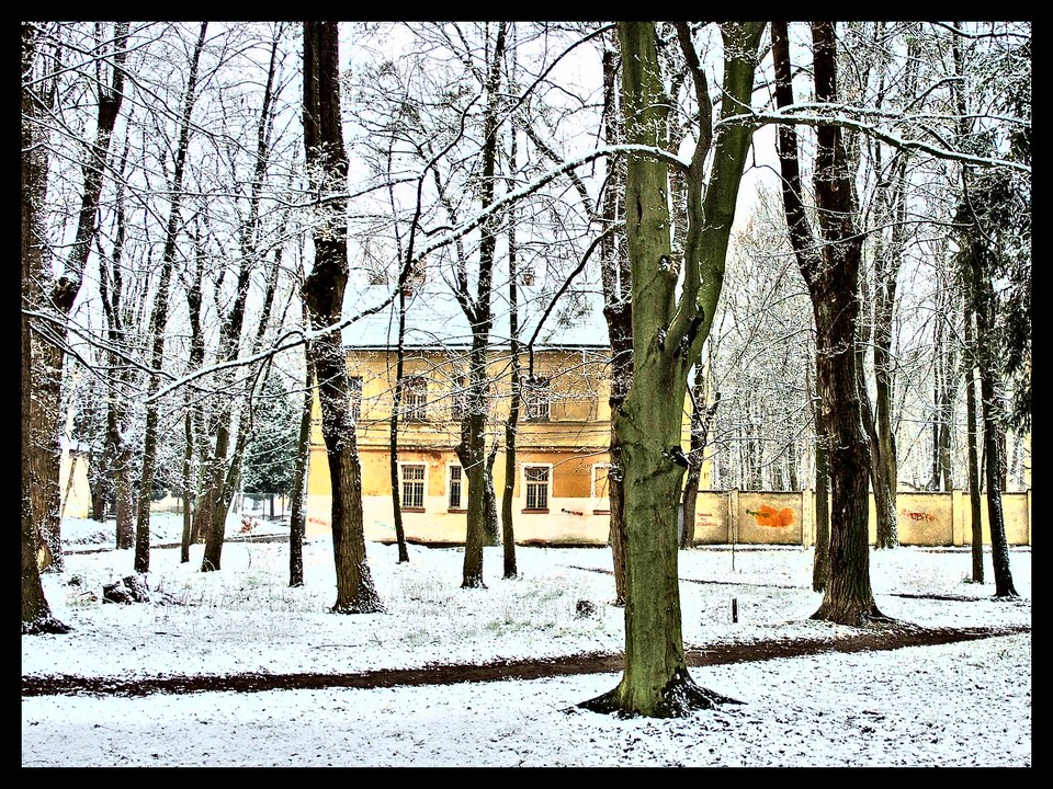 Фотографія ...весенний снег... / Andriy / photographers.ua