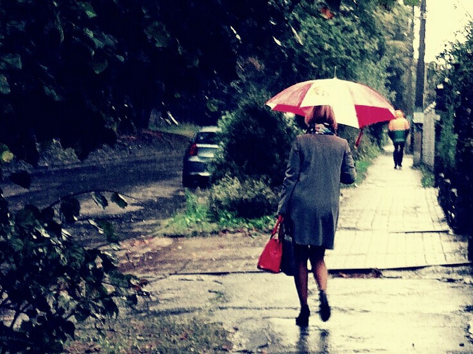 Фотографія ...это дождь с парасолькой!... / Andriy / photographers.ua