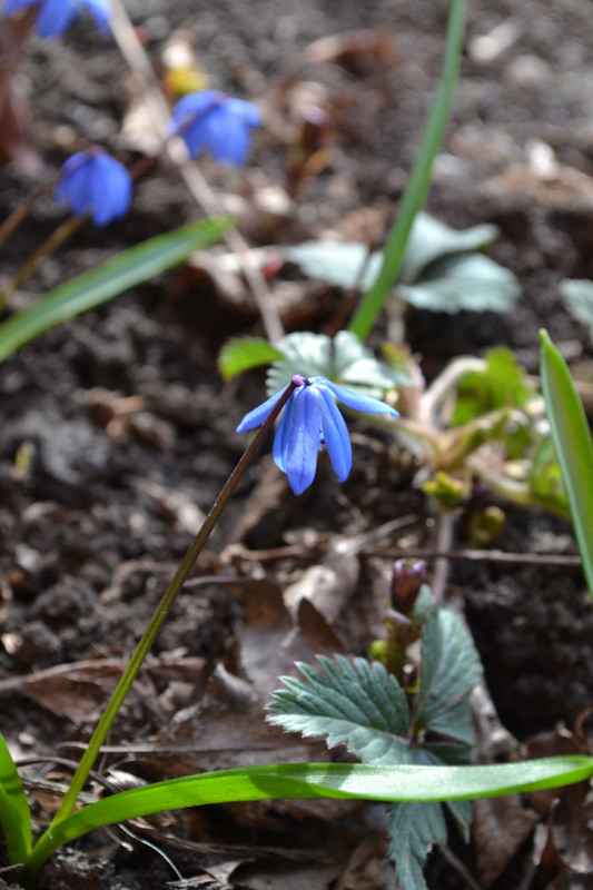 Фотографія Первый пошёл / Оля Курзель / photographers.ua