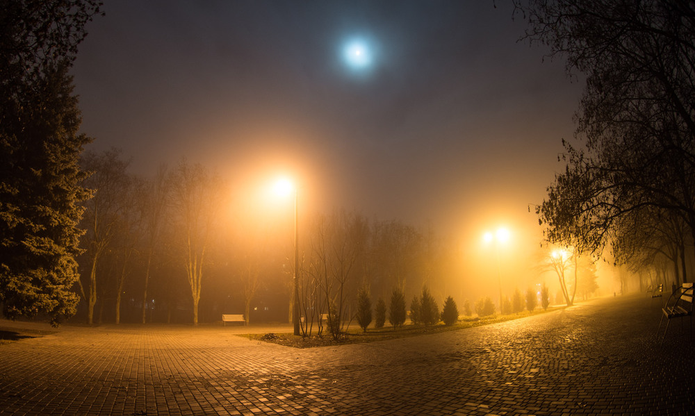 Фотографія Вечерний туман / Volodymyr Kovalov / photographers.ua