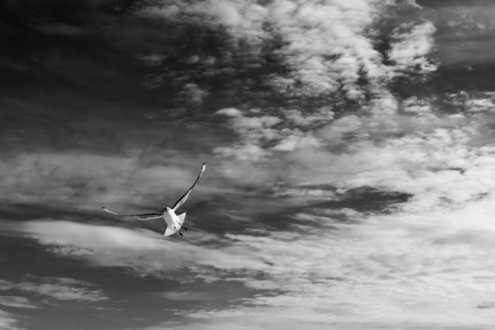 Фотографія Пейзаж / Olexan Nazarina / photographers.ua