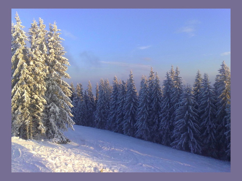 Фотографія Морозний ранок в Карпатах / Іван Вєтров / photographers.ua