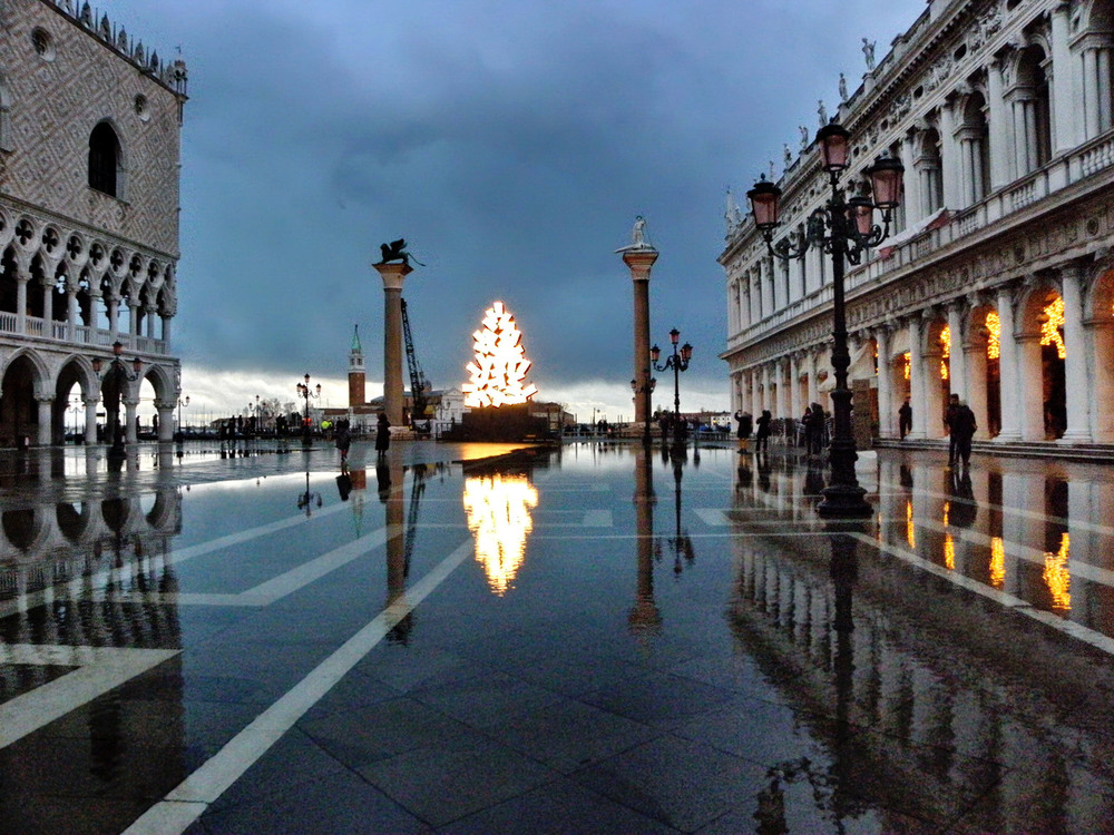 Фотографія Albero di Natale - різдв'яна ялинка e Венеції 2020 / Ірина Кулікова / photographers.ua