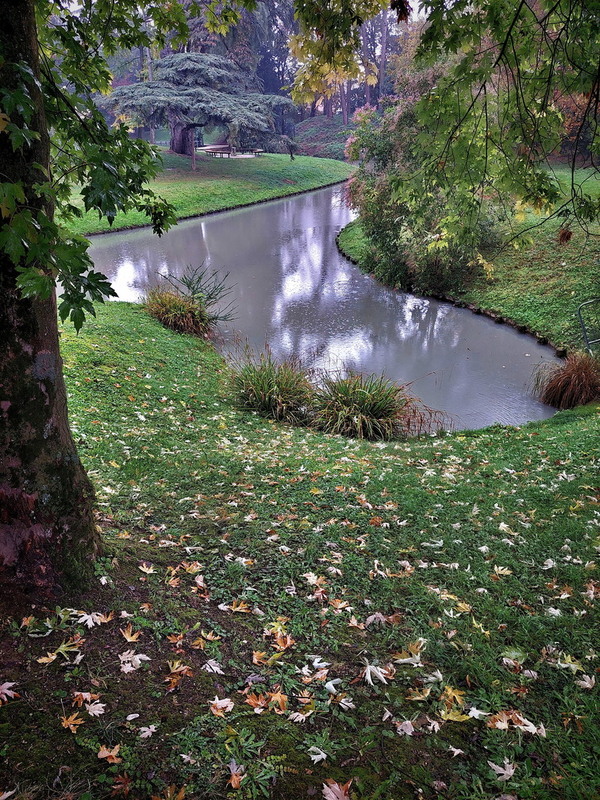 Фотографія Дощить.. потроху.. / Ірина Кулікова / photographers.ua