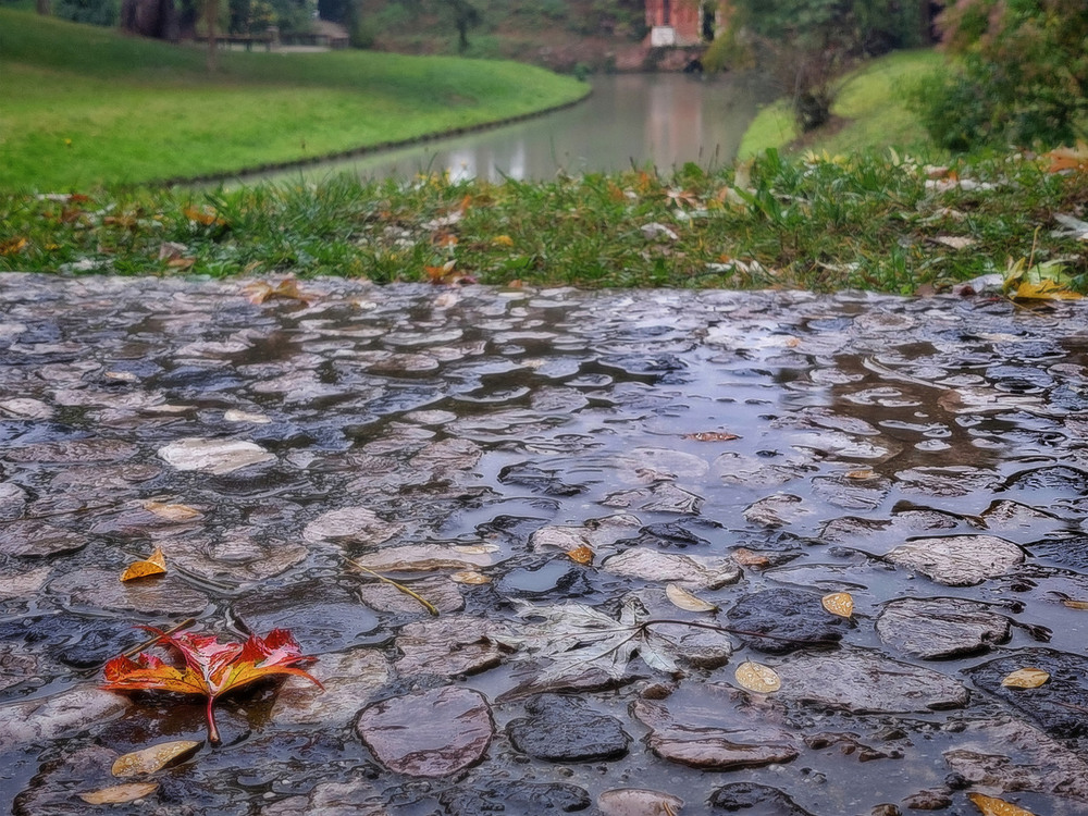 Фотографія Осінній парк.. осінній дощ.. осінній лист.. / Ірина Кулікова / photographers.ua