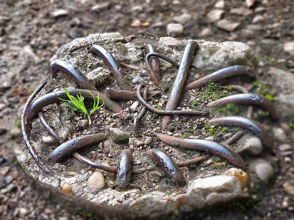 Фотографія *** / Ірина Кулікова / photographers.ua